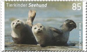 Colnect-4591-910-Harbour-seal-Phoca-vitulina.jpg