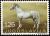 Colnect-700-469-Lipicaner-Equus-ferus-caballus.jpg