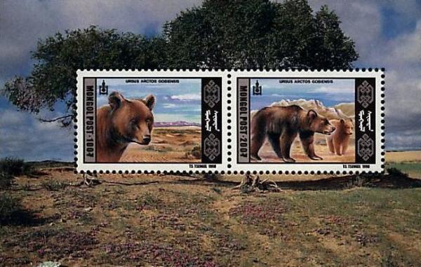 Colnect-1281-259-Gobi-bear-Ursus-arctos-gobiensis.jpg