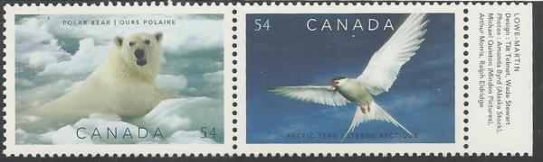 Colnect-1303-854-Polar-Bear--Arctic-Tern.jpg