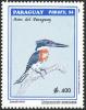 Colnect-1724-443-Green-Kingfisher-Chloroceryle-americana-nbsp-.jpg