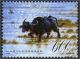 Colnect-1581-785-Domesticated-Water-Buffalo-Bos-bubalus-domesticus.jpg