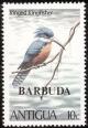 Colnect-1906-856-Ringed-Kingfisher-Ceryle-torquata---Overprinted.jpg