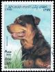 Colnect-3515-678-Rottweiler-Canis-lupus-familiaris.jpg