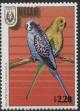 Colnect-4766-598-Budgerigar-Melopsittacus-undulatus.jpg