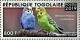 Colnect-5646-481-Budgerigar-Melopsittacus-undulatus.jpg