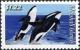 Colnect-6004-824-Killer-Whale-Orcinus-orca.jpg