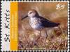 Colnect-3742-844-Western-Sandpiper-Calidris-mauri.jpg