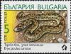 Colnect-819-998-Turkish-Javelin-Sandboa-Eryx-jaculus-turcicus-.jpg