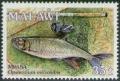 Colnect-1734-907-Mpasa-Lake-Salmon-Barilius-microlepis.jpg