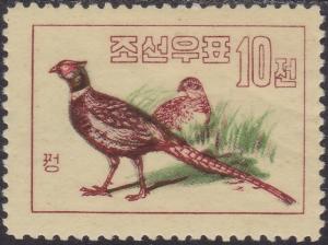 Colnect-1430-769-Common-Korean-Pheasant-Phasianus-colchicus-karpowi-.jpg