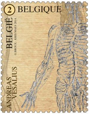 Colnect-2085-983-Andreas-Vesalius---Blood-Circulation.jpg