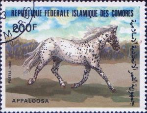 Colnect-3124-091-Appaloosa-Equus-ferus-caballus.jpg