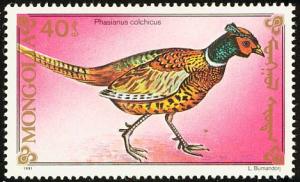 Colnect-860-478-Common-Pheasant%C2%A0Phasianus-colchicus.jpg