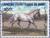 Colnect-3124-091-Appaloosa-Equus-ferus-caballus.jpg