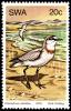 Colnect-5207-319-Chestnut-banded-Sand-Plover-Charadrius-venustus.jpg