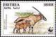 Colnect-1744-732-Beisa-Oryx-Oryx-beisa.jpg