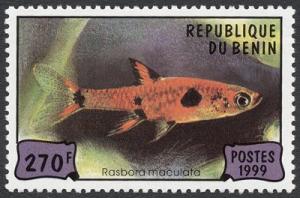 Colnect-854-027-Dwarf-Rasbora-Rasbora-maculata.jpg