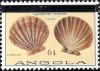 Colnect-1107-446-Lion-s-Paw-Scallop-Lyropecten-nodosas.jpg