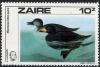 Colnect-1129-687-Black-Scoter-Melanitta-nigra.jpg