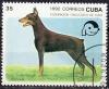 Colnect-1235-552-Doberman-Pinscher-Canis-lupus-familiaris.jpg