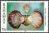 Colnect-2271-948-Lions-paw-Scallop-Lyropecten-nodosus.jpg