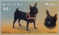 Colnect-131-498-Miniature-Pinscher-Canis-lupus-familiaris.jpg