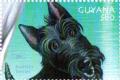 Colnect-4863-475-Scottish-Terrier.jpg