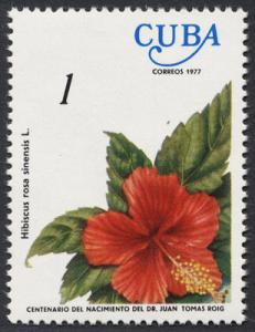 Colnect-852-880-Hibiscus-rosa-sinensis.jpg