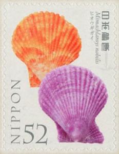 Colnect-5591-910-Noble-Scallop-Pecten-Nobilis.jpg