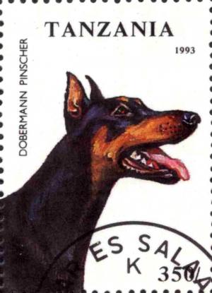 Colnect-3434-778-Doberman-Pinscher-Canis-lupus-familiaris.jpg