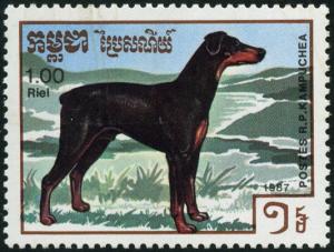 Colnect-3627-951-Dobermann-Pinscher-Canis-lupus-familiaris.jpg