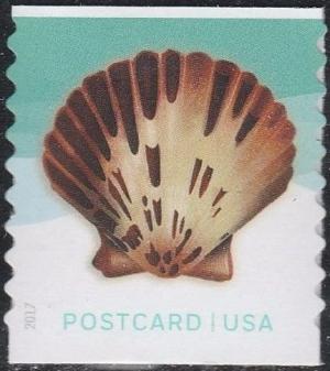 Colnect-3880-169-Pacific-Calico-Scallop-Argopecten-ventricosus.jpg