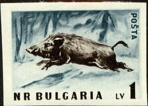 Colnect-4400-704-Wild-Boar-Sus-scrofa---totally-Imperforated.jpg