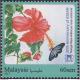 Colnect-4343-071-Hibiscus---Rosa-Sinensis.jpg