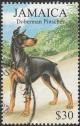 Colnect-4384-825-Doberman-Pinscher-Canis-lupus-familiaris.jpg