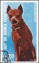 Colnect-4990-018-Miniature-Pinscher-Canis-lupus-familiaris.jpg