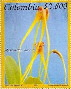 Colnect-3327-433-Masdevallia-macrura.jpg