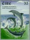 Colnect-129-380-Common-Bottlenose-Dolphin-Tursiops-truncatus.jpg