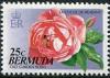 Colnect-1338-922-Duchesse-de-Brabant-Rose-Bee.jpg