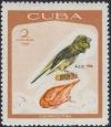 Colnect-2410-664-Domestic-Canary-Serinus-canaria-forma-domestica.jpg