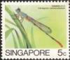 Colnect-445-141-Bi-coloured-Damsel-Ceriagrion-cerinorubellum.jpg