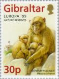 Colnect-120-947-Europa---99--Nature-Reserves--Barbary-Macaque-Macaca-sylva.jpg