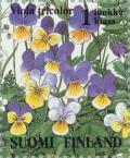 Colnect-160-257-Heartsease-Viola-tricolor.jpg