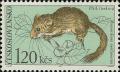 Colnect-438-970-Common-Dormouse-Muscardinus-avellanarius.jpg