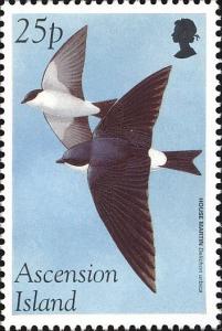 Colnect-4414-480-Common-House-Martin-Delichon-urbicum.jpg