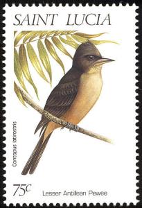 Colnect-1766-922-Lesser-Antillean-Pewee.jpg