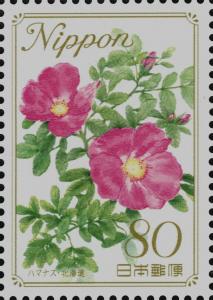 Colnect-4032-185-Rugosa-Rose---Hokkaid%C5%8D-Prefecture.jpg