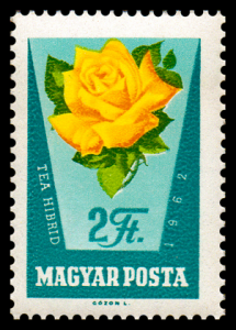 1471_rose_200.png