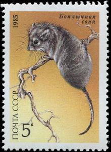 Colnect-5113-778-Desert-Dormouse-Selevinia-betpakdalaensis.jpg